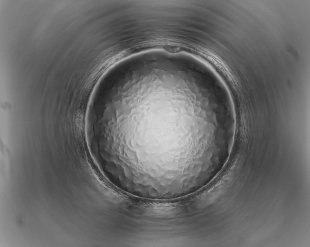 X0000091100849200708061418