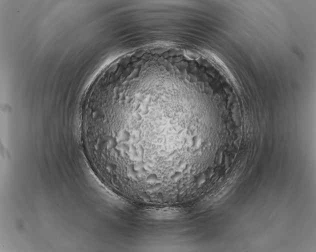X0000091100851200708061418