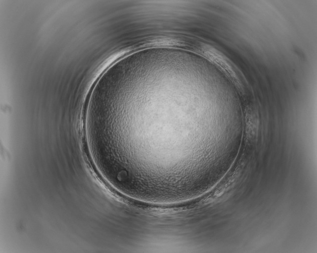 X0000091100852200708061418