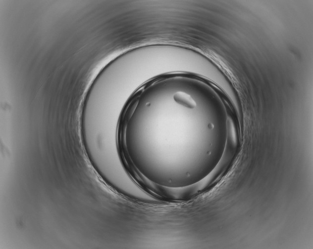 X0000091100854200708061418