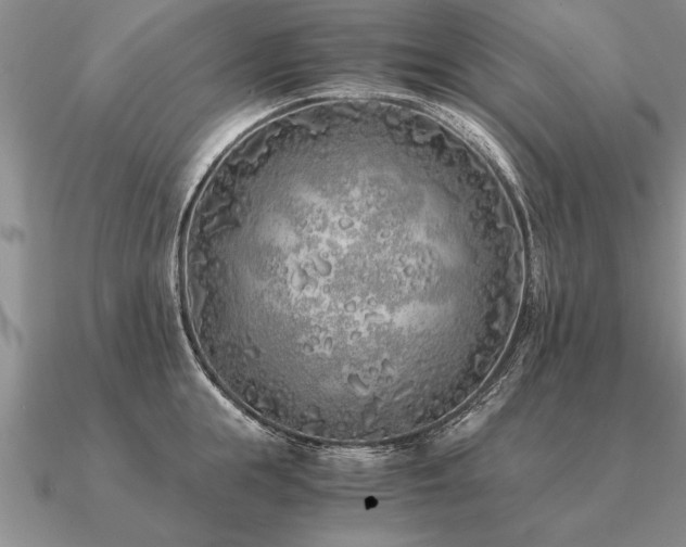 X0000091100855200708061418