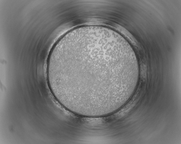 X0000091100856200708061418