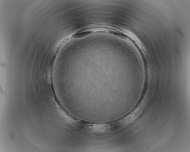 X0000091100857200708061418