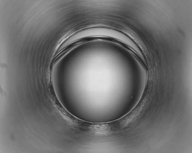 X0000091100858200708061418