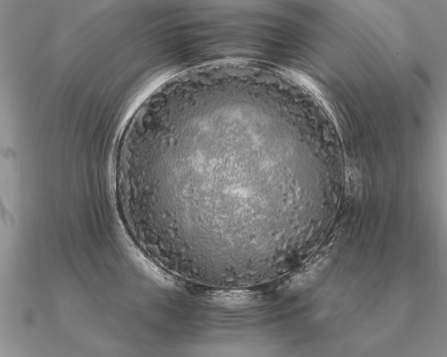 X0000091100859200708061418