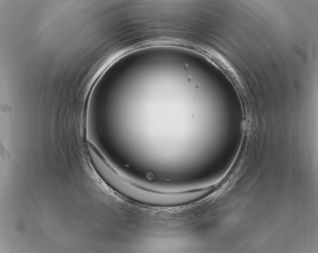 X0000091100860200708061418