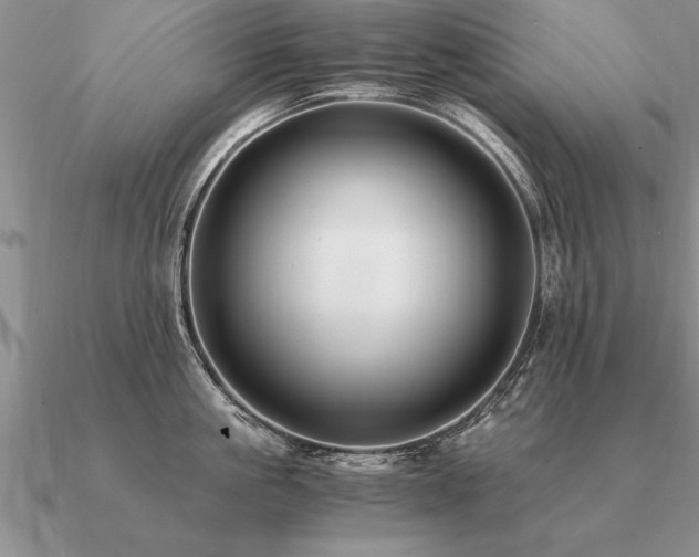 X0000091100861200708061418