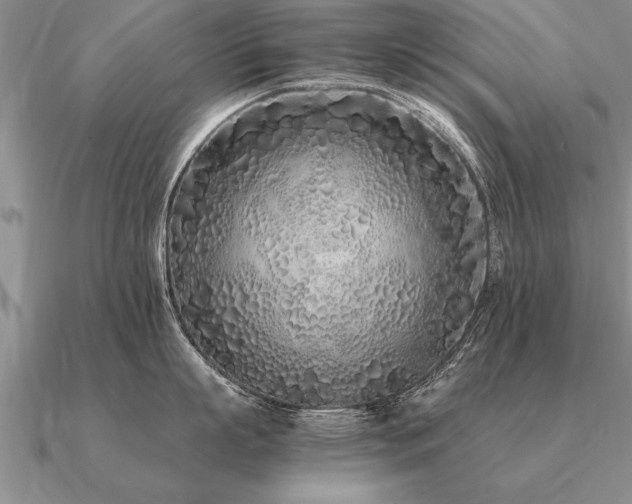 X0000091100863200708061418