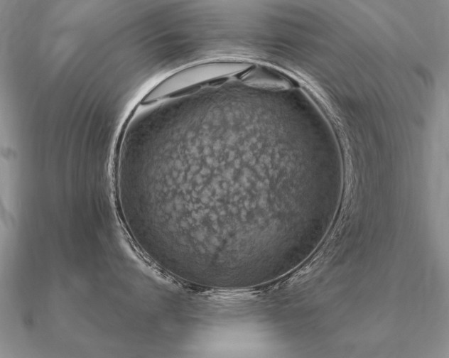 X0000091100864200708061418