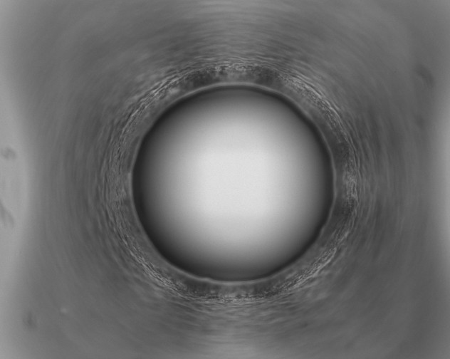 X0000091100865200708061418