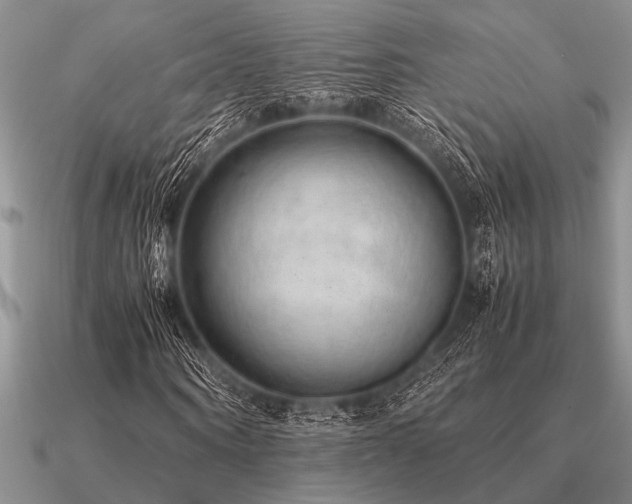 X0000091100866200708061418