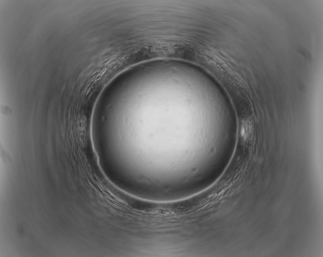 X0000091100867200708061418