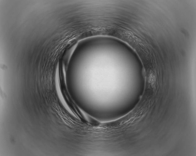 X0000091100868200708061418