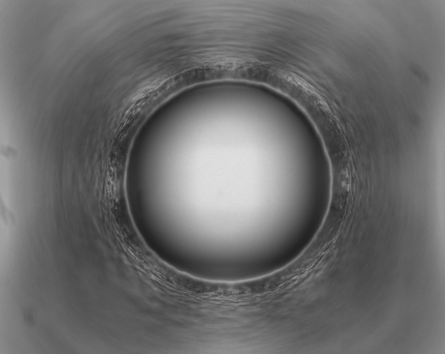 X0000091100869200708061418