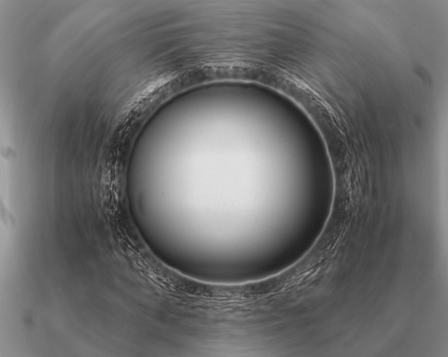 X0000091100870200708061418