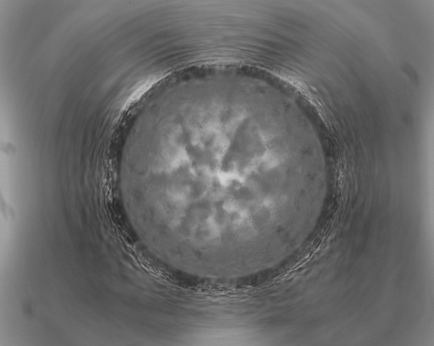 X0000091100871200708061418