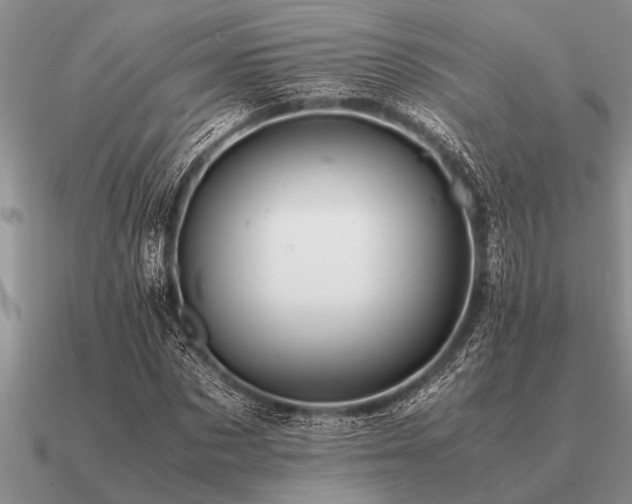 X0000091100873200708061418