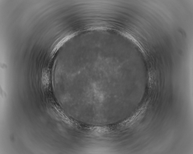 X0000091100874200708061418