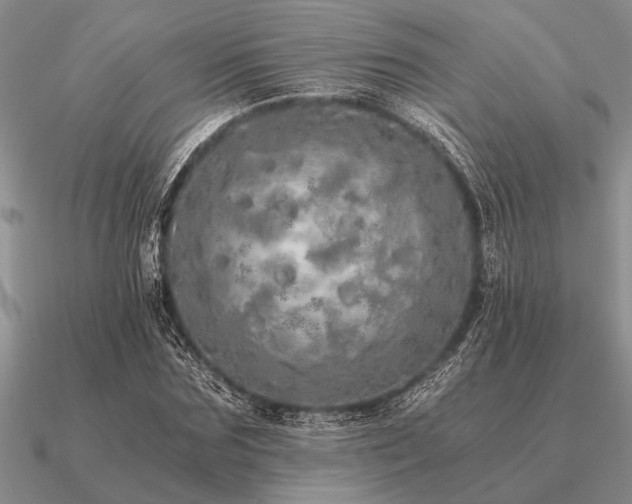 X0000091100875200708061418