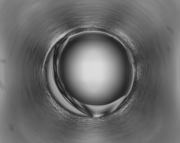 X0000091100876200708061418