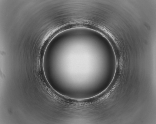 X0000091100877200708061418