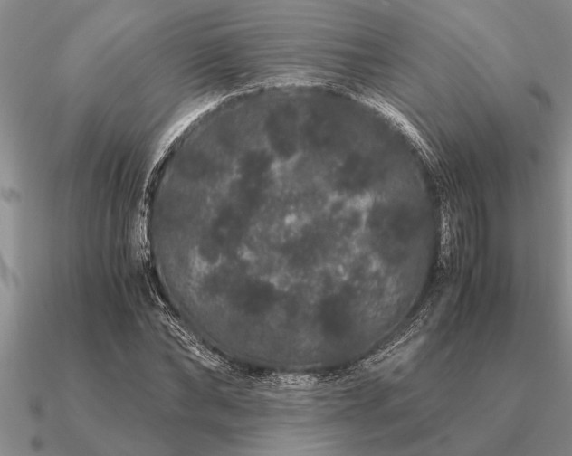 X0000091100878200708061418