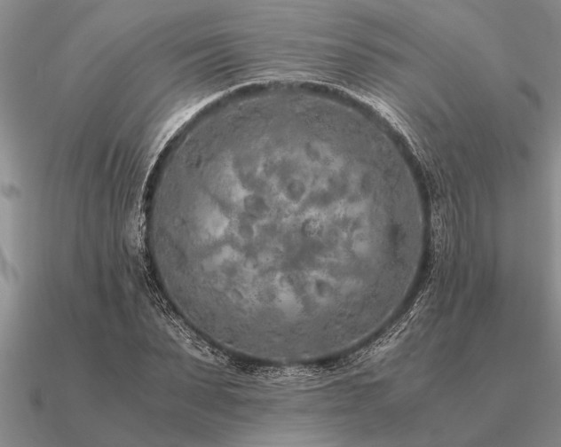 X0000091100879200708061418