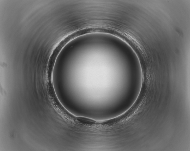 X0000091100880200708061417