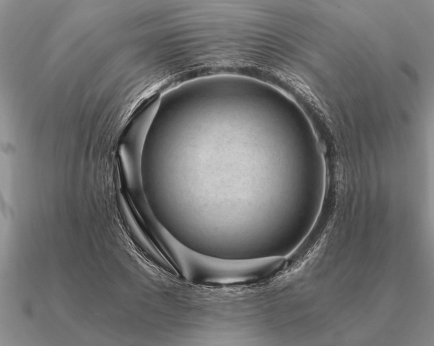 X0000091100881200708061417