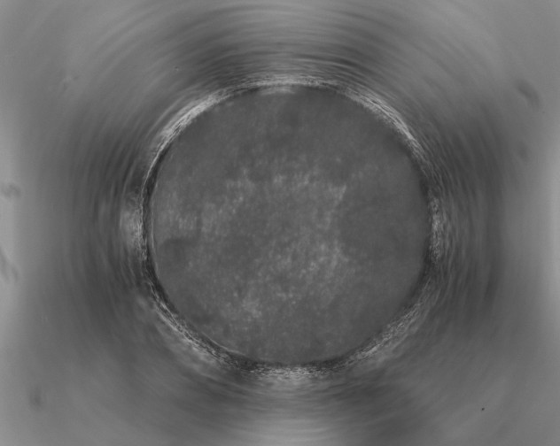 X0000091100882200708061417