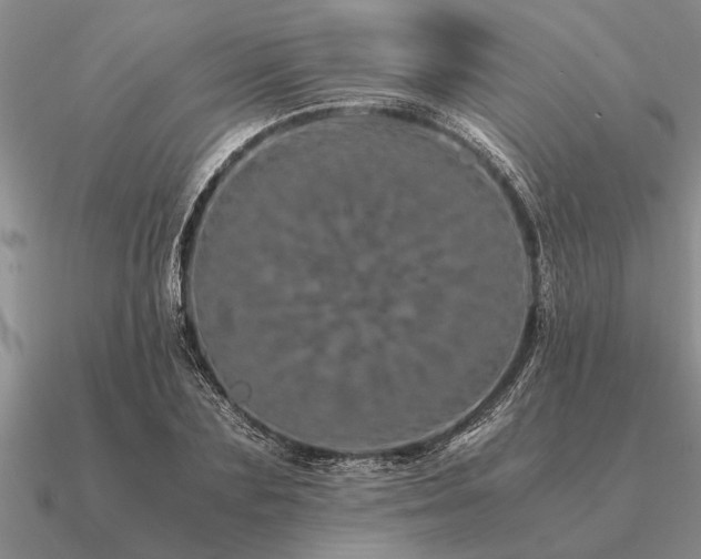 X0000091100883200708061417