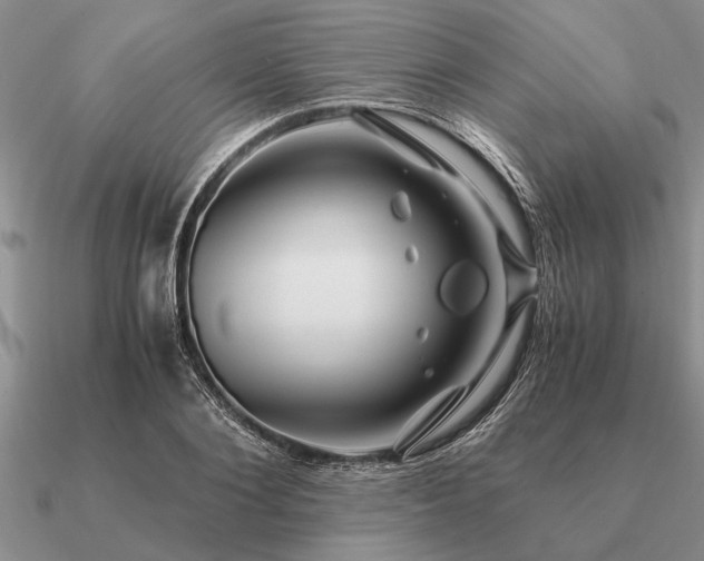 X0000091100884200708061417