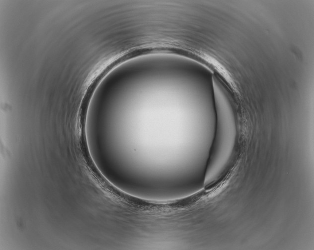 X0000091100885200708061417