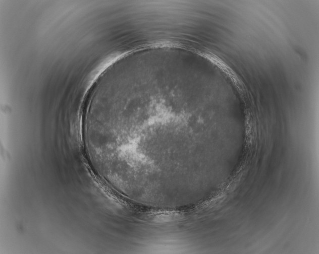 X0000091100886200708061417