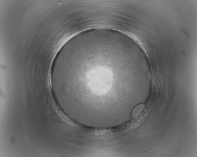 X0000091100887200708061417