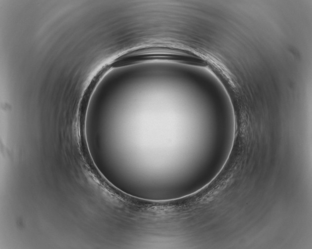 X0000091100888200708061417