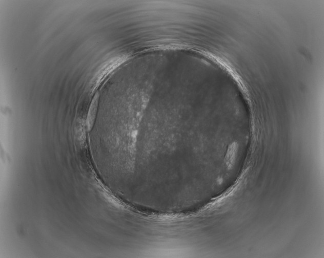 X0000091100889200708061417