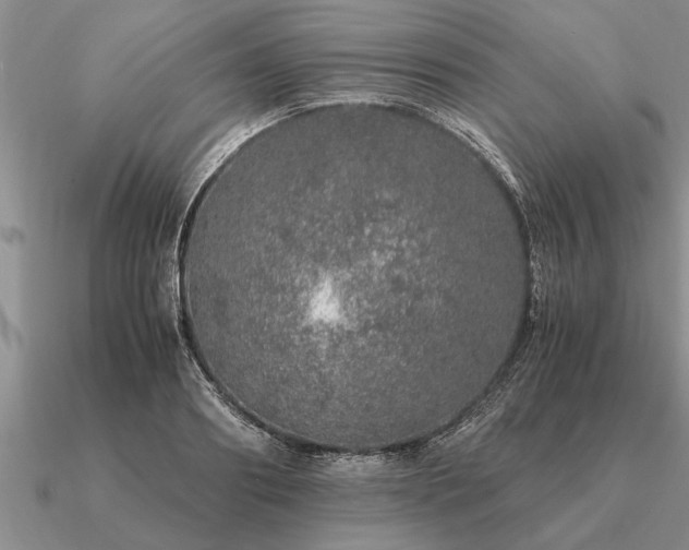 X0000091100890200708061417