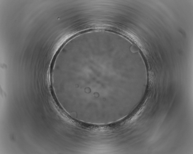 X0000091100891200708061417