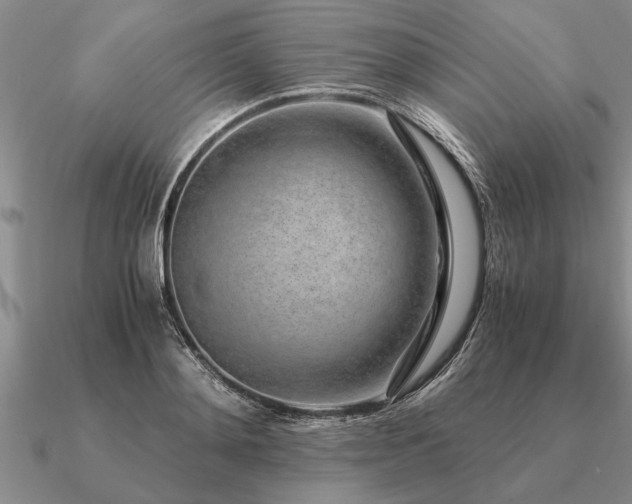 X0000091100892200708061417