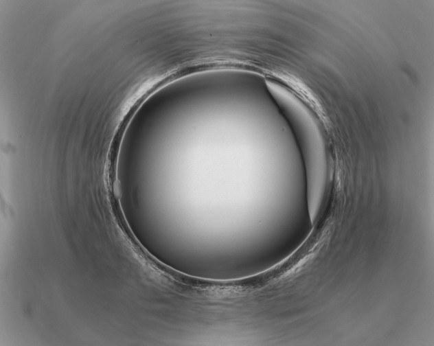 X0000091100893200708061417