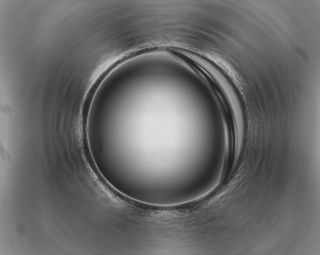 X0000091100894200708061417