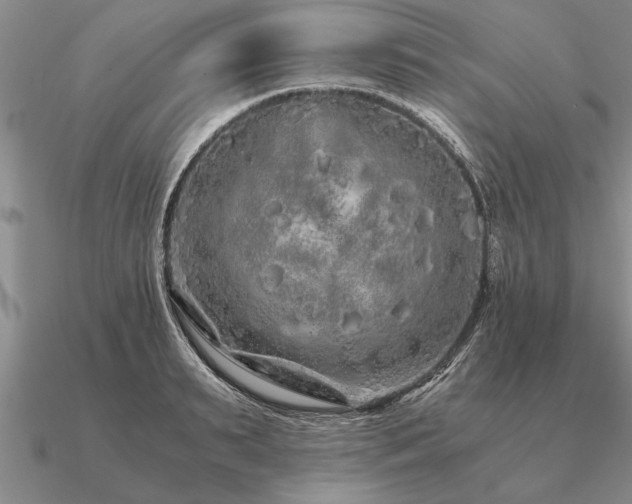 X0000091100895200708061417