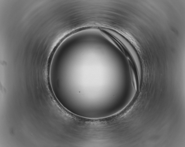 X0000091100896200708061417