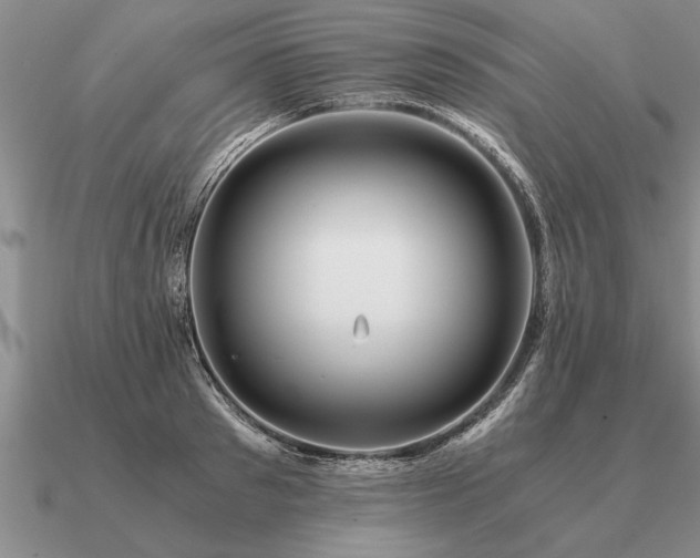 X0000091100897200708061417