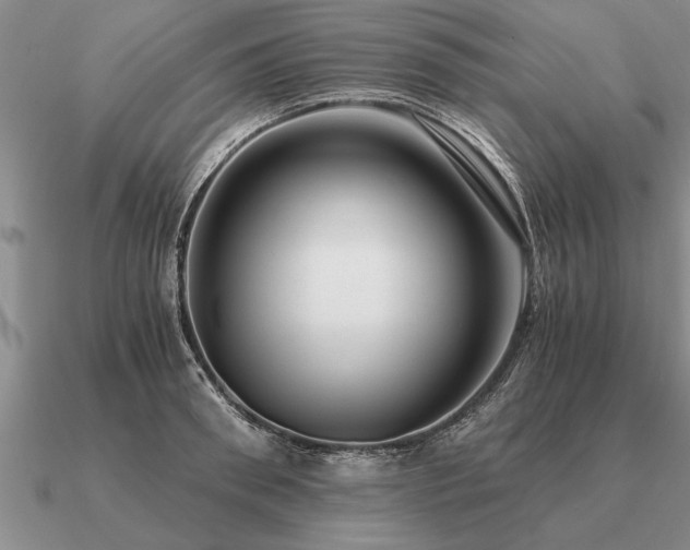 X0000091100898200708061417