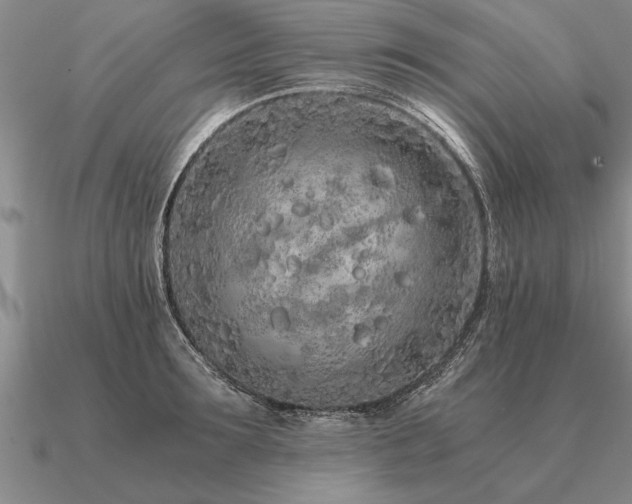 X0000091100899200708061417