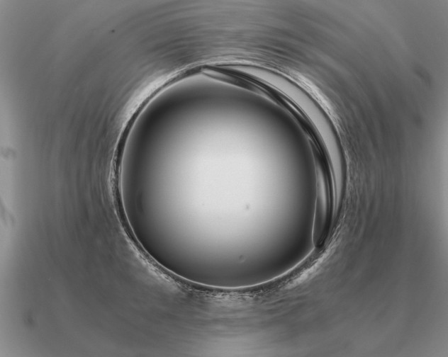 X0000091100901200708061417