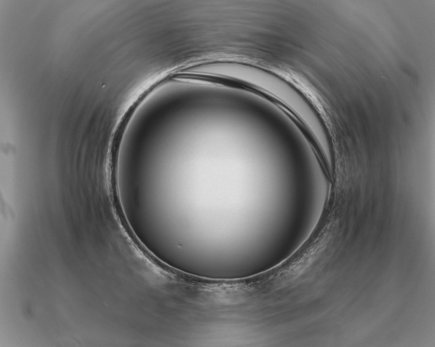 X0000091100902200708061417