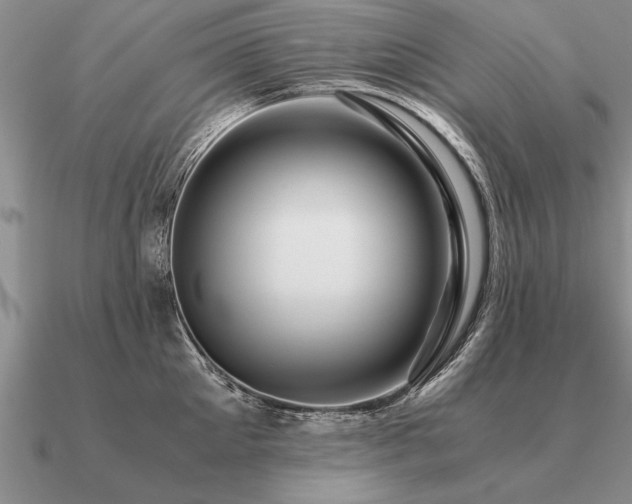 X0000091100905200708061417